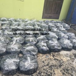 Bán lẻ nhựa đường tại Hà Nội